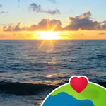 Fred Levy - @fred.levy.5 - Instagram
