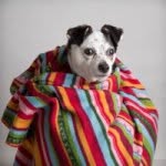 Fred Levy Photography - @fredlevyart - Instagram