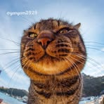 Freddy Lin - Facebook