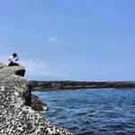 Freddy Lin - @fz__lin - Instagram
