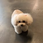 Freddy Lin - @frreeeddddyyyyy_ - Instagram