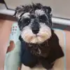 Freddy_lin - @freddy_lin8 - TikTok