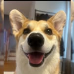 Freddy Mercury Logan - @freddys_recoveryjourney - Instagram