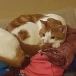 Freddy Long - @longfreddy630 - Instagram