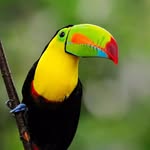 Jose Freddy Losada - @josefreddylosada - Instagram