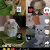 Freddy_Lover - @twinnie190 - TikTok