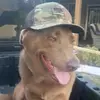 freddy marin - @freddy.marin61 - TikTok