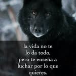 Freddy Mesa - @freddy.mesa.972 - Instagram