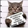 Freddy Mesa - @freddy.mesa1 - TikTok