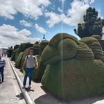 Freddy Mesa Chivata - @freddy_mesa_chivata - Instagram