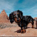 Freddy Miller - @freddythewein - Instagram