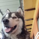 Freddy Orosco Montaño - @freddyoroscomontano - Instagram