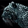 freddypainter - @freddypainter81 - TikTok