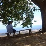 Freddy Palacios - @freddy.palacios.5030 - Instagram