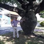 Freddy Parada - @freddy.parada.503 - Instagram