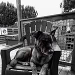 Freddy Patrick - @photographe7674 - Instagram