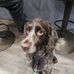 Freddy Reed - Facebook