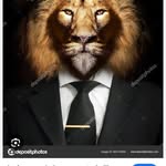Freddy Rocha - @freddy.rocha.75248 - Instagram