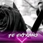 Freddy Rocha - @freddy.rocha.7528 - Instagram