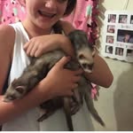 Two Cute Little Ferrets - @freddy_sampson - Instagram