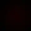 Fred.Schwartz - @fred.schwartz37 - TikTok