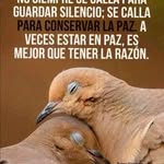 Freddy Serrano - @freddyserrano27l - Instagram