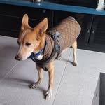 Freddy Serrano - @freddy.serrano.528 - Instagram