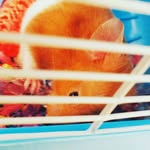 Freddy sharp - @freddy_the_cutest_boi - Instagram