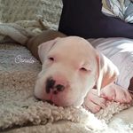 freddy taylor - @freddytaylor2841 - Instagram