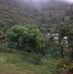 Freddy Valentin - Facebook