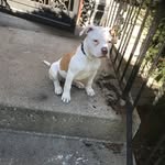 Freddy Woods - @loveisfreddy - Instagram