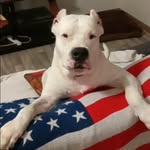 Freddy Woods - @wfreddy101 - Instagram