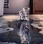 Frederic Becker - Facebook