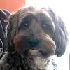 Frederic Bernard - @frederic.bernard33 - TikTok