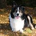 Frederic Boyer - Facebook