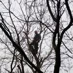 Frédéric Haler - @frederichaler - Instagram