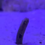 Frédéric Hébert - @ferdfries64 - Instagram