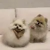 Frederick Houston - @frederick.houston2 - TikTok