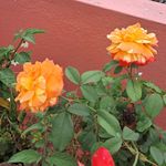Frederic Johnson - @frederic_johnson6470 - Instagram