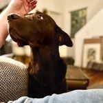 Frederick Johnson - @frederick_johnson769 - Instagram
