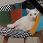 Baumann Frédéric - @frederic_klein_624 - Instagram