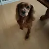 frederic klein - @frederic.klein0 - TikTok
