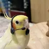 Naturebuddies - @fredericlloyd8 - TikTok