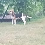 Frédéric Maurel - @pierres_71 - Instagram