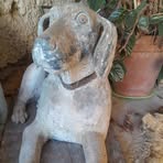 Frederic Maurel - Facebook