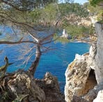 Frederic Maurel - Facebook