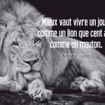 Frédéric Metzger - Facebook