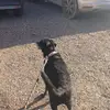 fredericmeyer182 - @fredericmeyer182 - TikTok