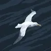 Frederic Moreau - @frederic.moreau2 - TikTok