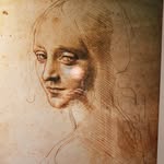 Frederic Naveaux - @naveauxfrederic - Instagram